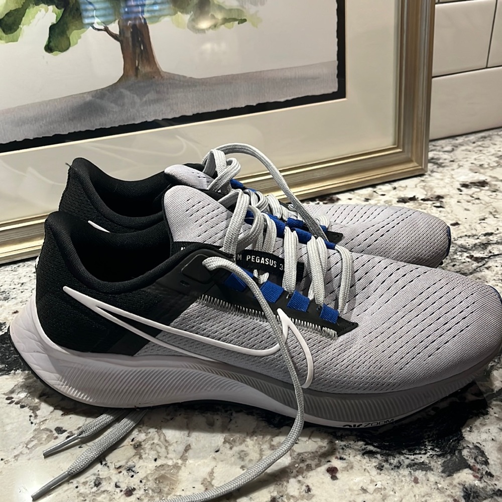 COPY - Nike Air Zoom Pegasus 38